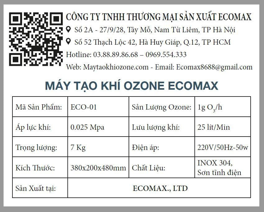 máy ozone 1g/h Ecomax