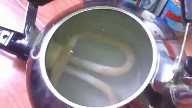 nuoc bi nhiem da voi