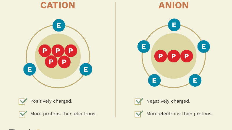 Cation, anion là gì