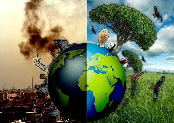Ô nhiễm môi trường xung quanh là gì